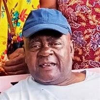 Mr. Samuel L. Mitchell Jr.