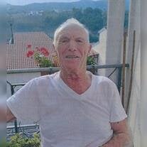 Michele Melfi