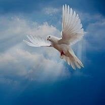 Joyce Ellen Meyer Kowack