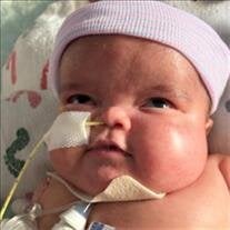 Levi James King