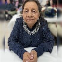 Manuela Barquera