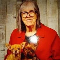 MaryAnn Koller