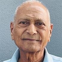 Ramanbhai Narayanbhai Patel