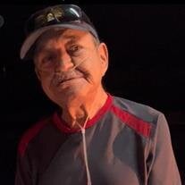 Jose Luis Villanueva Anguiano