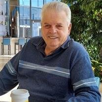 Mr. George E. Zimm Jr.