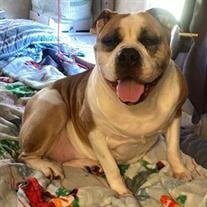 Quinn Michelle Allred