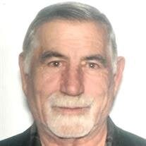 Amirtou Giraeili