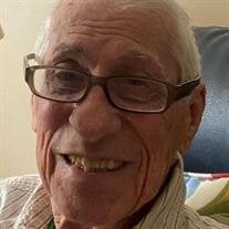 Mr. Lyle J. Schenk