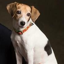 Millie "Mimi" Butler