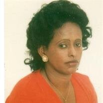 Tsehay S Johnson
