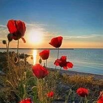 Donna Jean McKibben-Vandehey