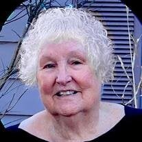 Carol Bruder-Hoekstra