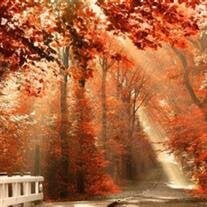 Victoria "Vicki" Pierno