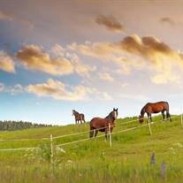 Mrs. Eva Marie Smith