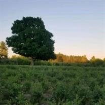 Carolyn Louise Lucas