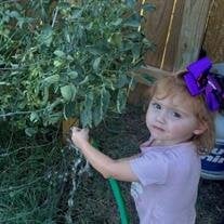 Freyja Elizabeth River Stephens