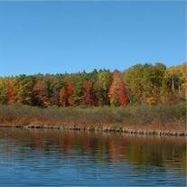 Robert Charles Brinkley