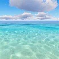 Kenneth Karl Fiesser