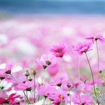 Tina Louise Lightfoot