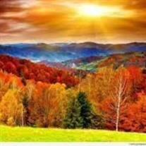 Dianne Thornton Cunningham