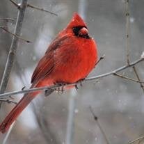 Katherine Lorraine McKay