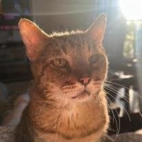 Marlon Brando Carney