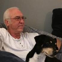 John Henry Johnson Jr