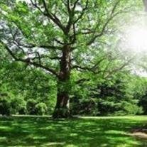 James Monroe High Sr.