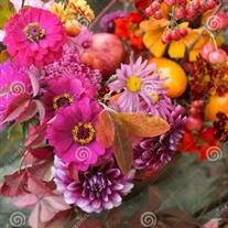 Patricia Hunter Bobbitt