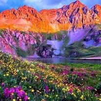 Elaine Susan Hardman