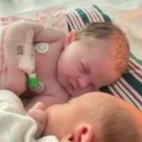 Saylor Phoenix Trull