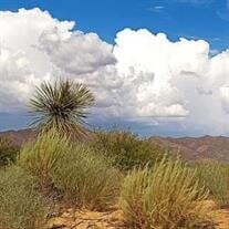 Evelyn Bramlet Smith