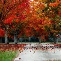 Jay Christopher Wollam