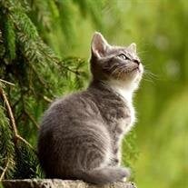 Gillian Dian Bickham