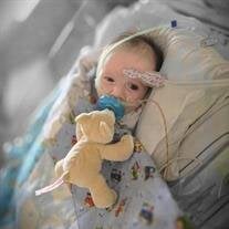 Archer Robert Driggers