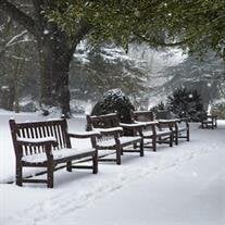 Steven Harvey Cryderman