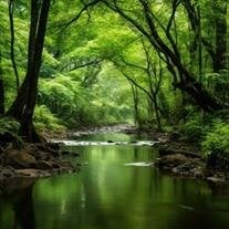 James Allen Sherriff