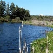 Richard 'Dick' Earl Harris Sr.