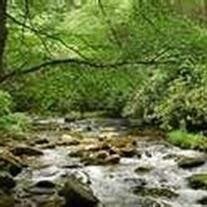 Fred Jessie Mendonza