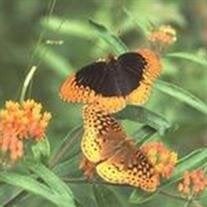 Richard David Sheppard