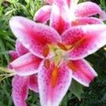 Lena Mae Cunningham-Daniel