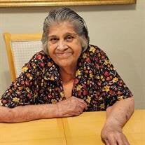 Molly Velasquez Perdomo