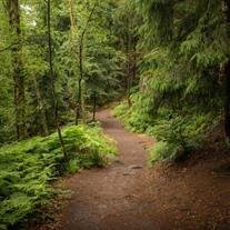 Mr. Kenneth Ray Keller