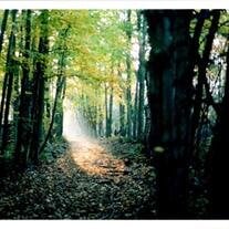 Mr. Patrick G. Cayea