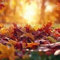 Dixie Beard Marshall