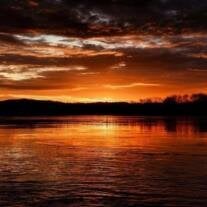 Mr. Lawrence F. Chatelle