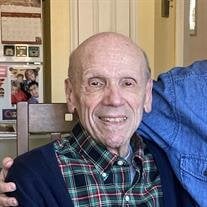 Mr. Daniel Nick Caputo