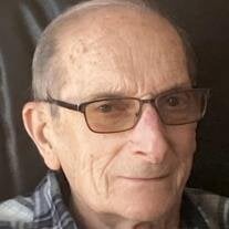 Mr. Carl A. Donega