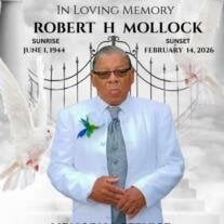 Robert H Mollock