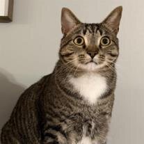 Binx Haggerty